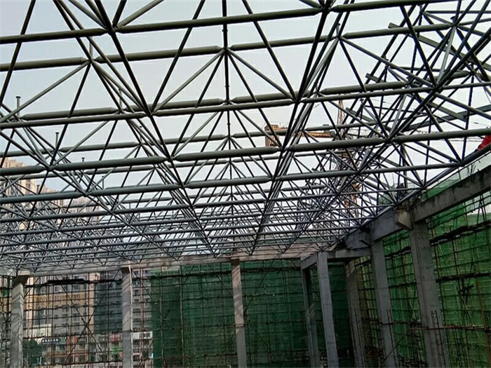 双鸭山光谷第十一小学网架